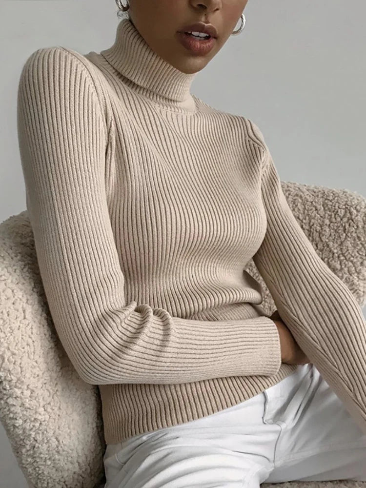 Turtleneck Cashmere Sweaters